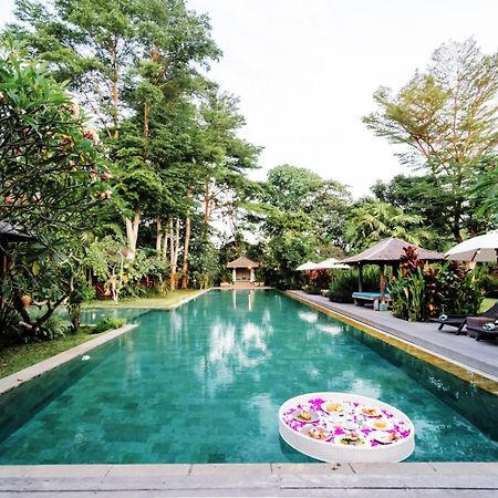 Kropak Canggu المظهر الخارجي الصورة