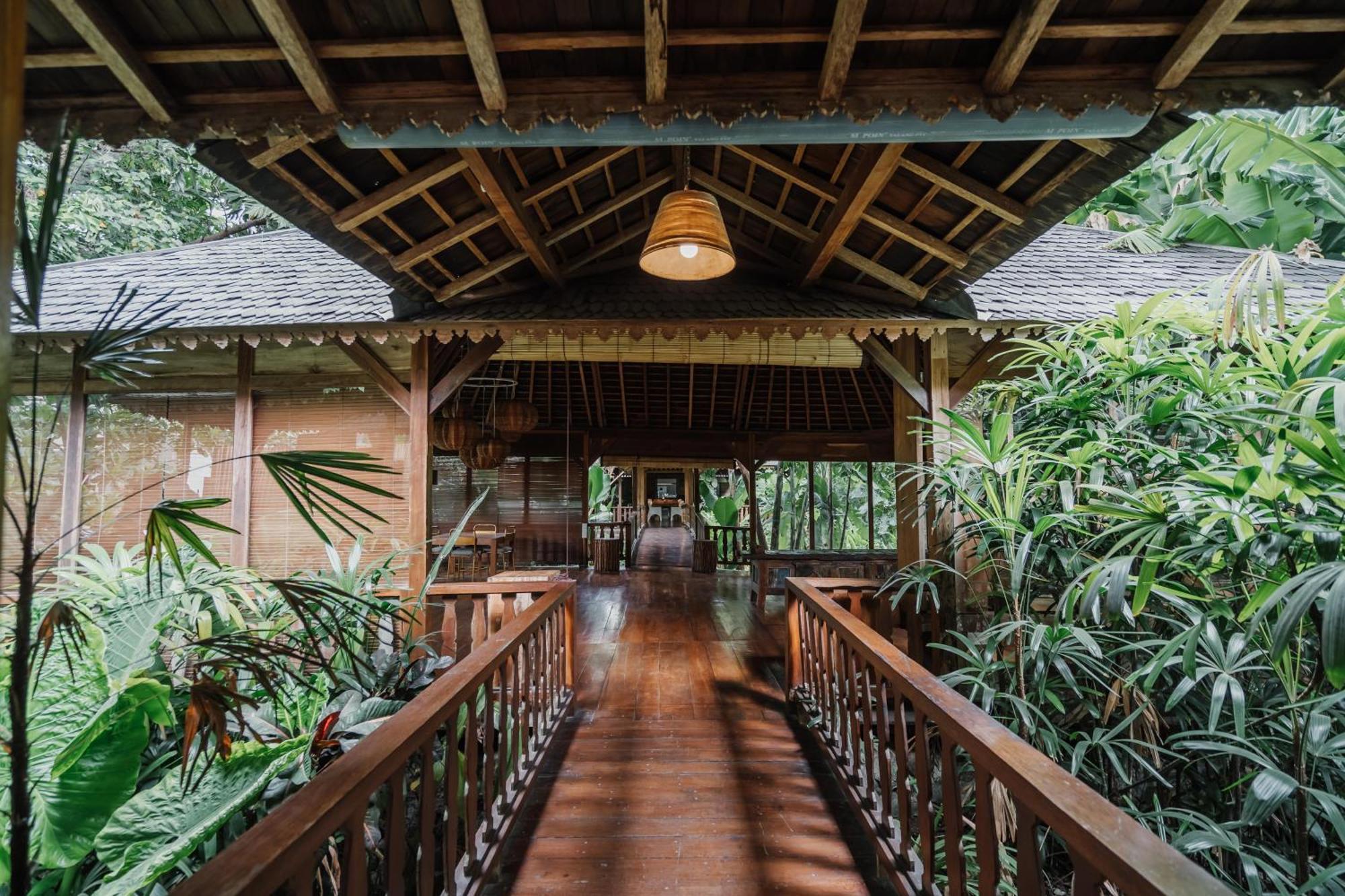 Kropak Canggu المظهر الخارجي الصورة