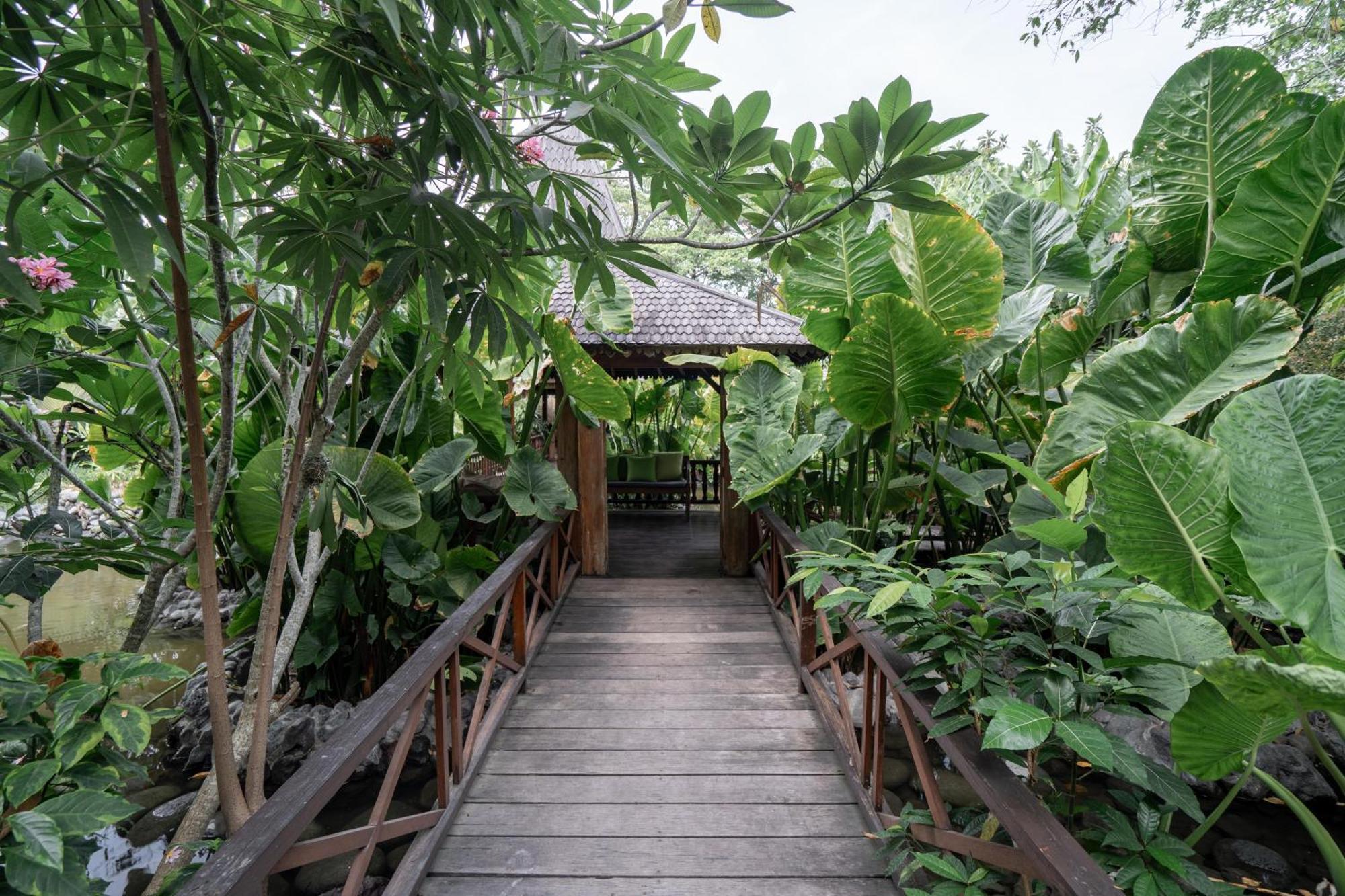 Kropak Canggu المظهر الخارجي الصورة